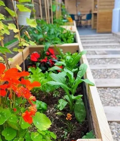 Le Physalis Confort 度假居 *