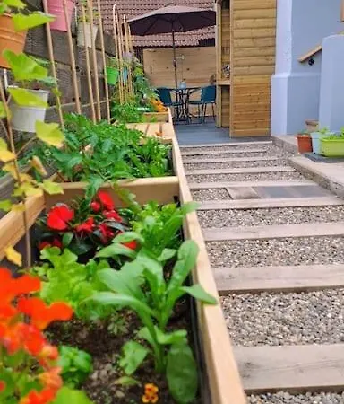 Le Physalis Confort *